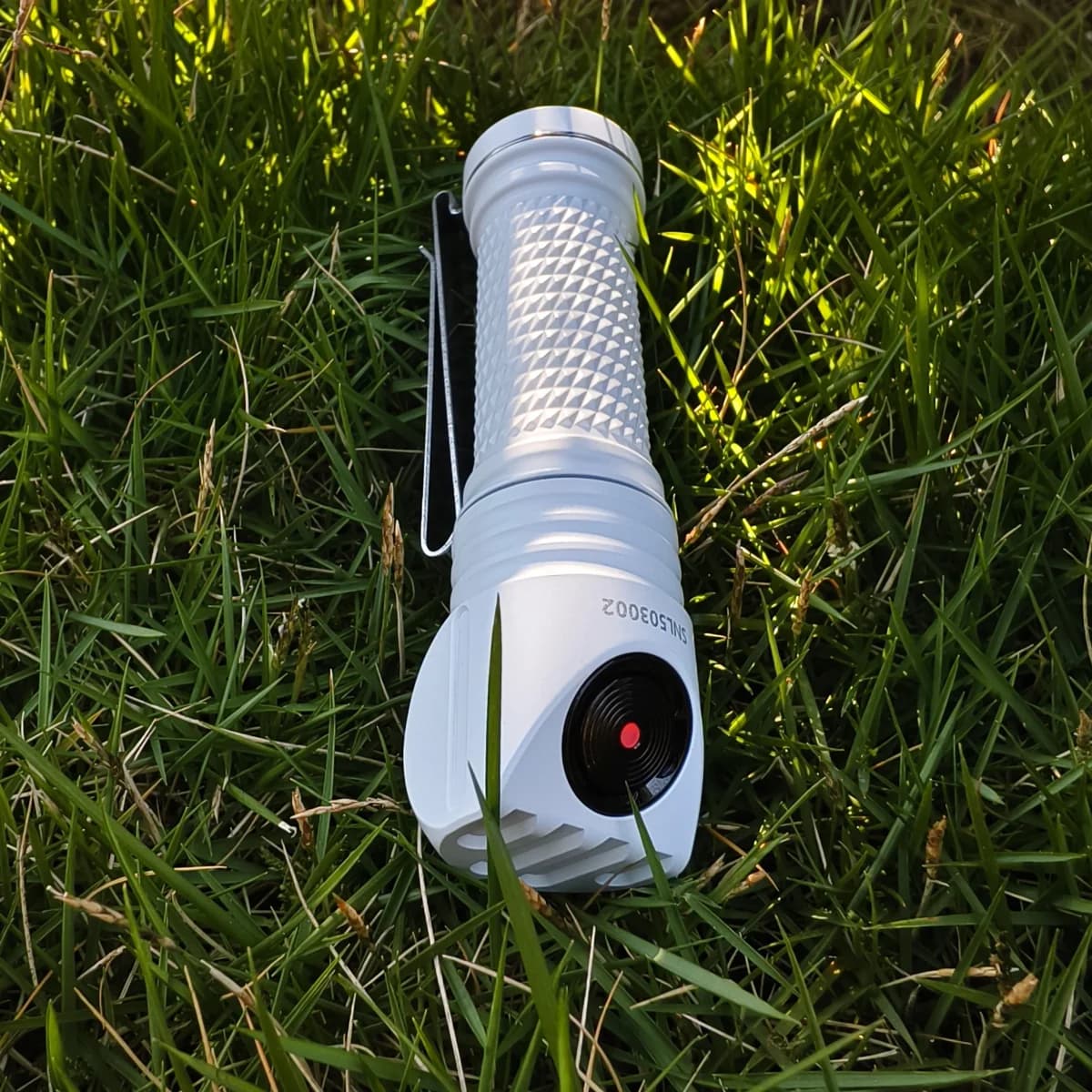 Fireflies L50